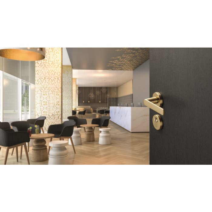 Hoppe Hoppe Resista cylinder plates (52x8mm) satin brass