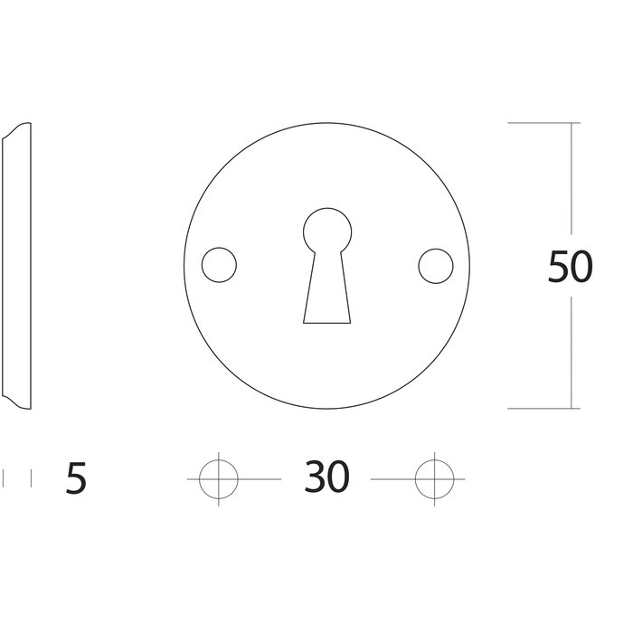 Intersteel Pair of Intersteel rosettes keyhole & screw holes - tumbled brass