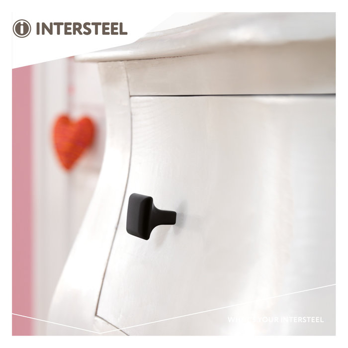 Intersteel Intersteel Furniture knob square 25 x 25 mm matt black