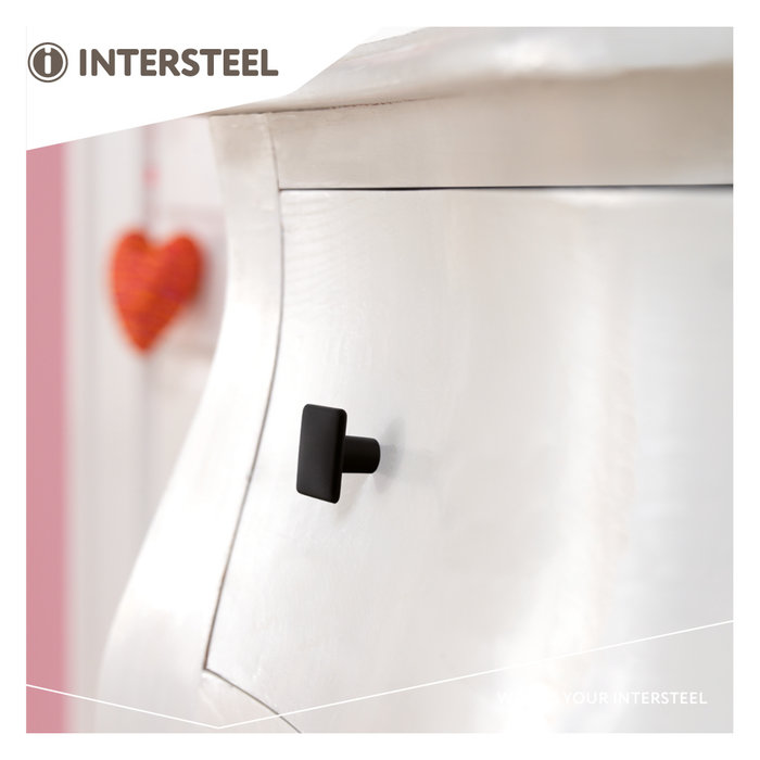 Intersteel Intersteel Furniture knob square 26 x 26 mm matt black