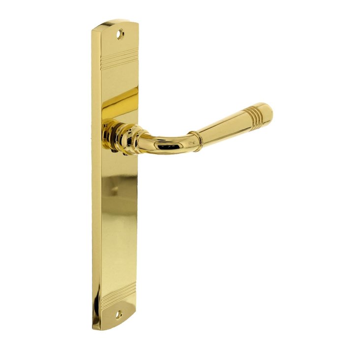 Intersteel Intersteel Door handle Helena on shield brass PVD