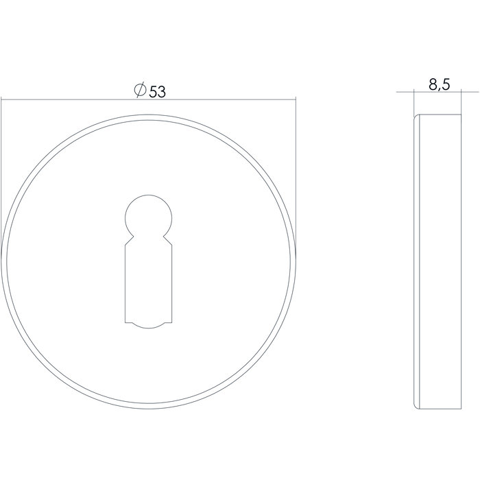 Intersteel Pair of Intersteel Rosettes keyhole round concealed brushed stainless steel