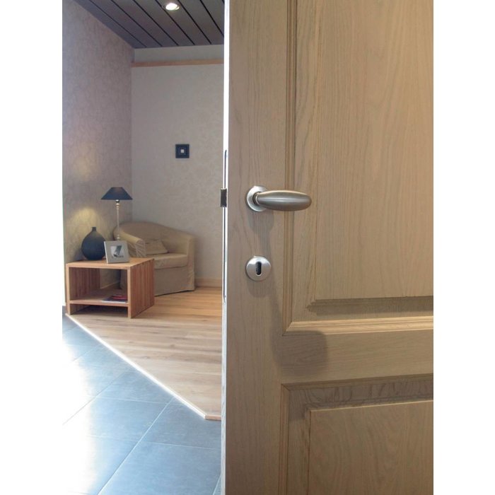 HDD Solid stainless steel look door handles Olive