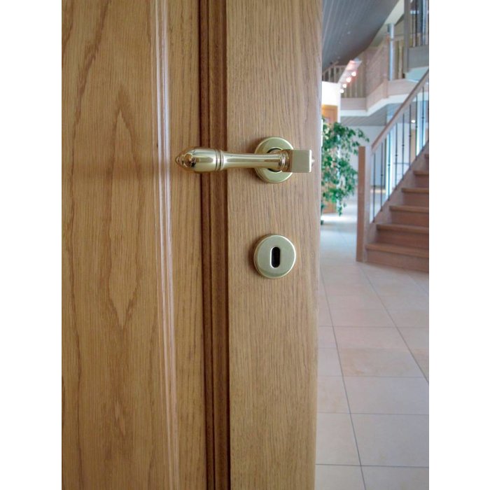 HDD Goldene Türgriffe Aldagonda