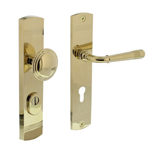 PVD Gold Beast Door Handle, Door Handles for Main Door, Handle Beast Head  Design 1 Pcs -  Finland