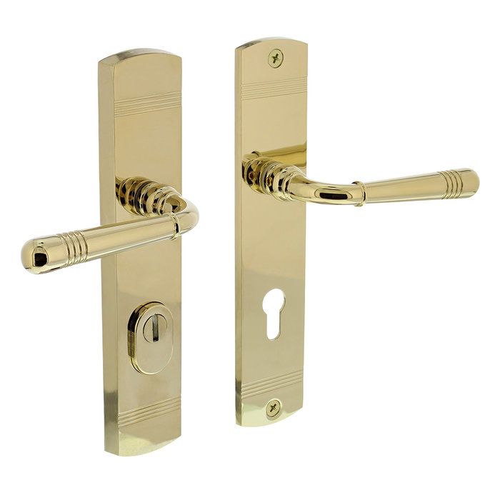 Intersteel Ferrure de porte arrière Helena sur poignée bouclier/tabouret laiton Titan PVD