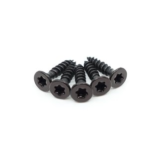 DKS Vis Torx noire 4 x 20mm