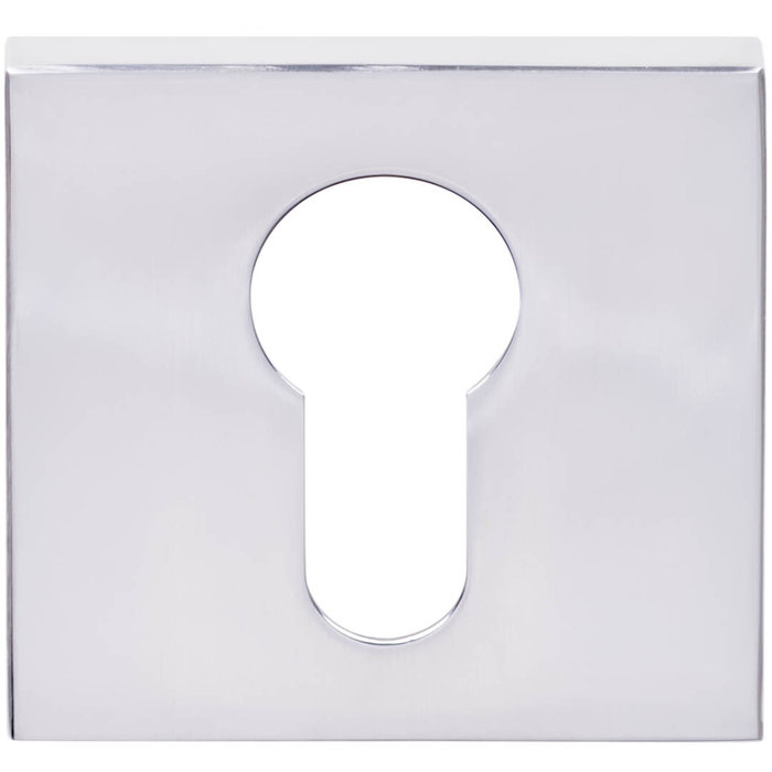 Formani 1 Cylindre plaque carré LSQBY50 carré inox poli