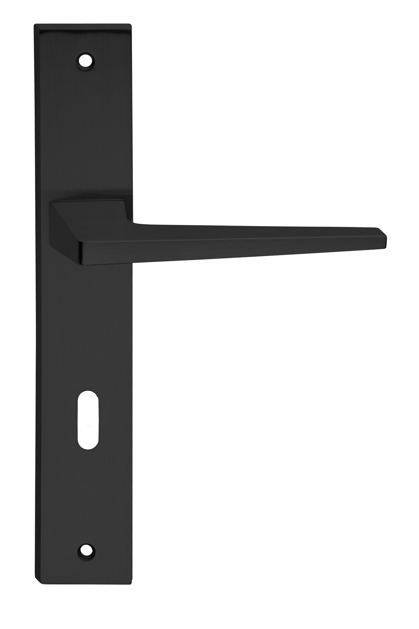 Poignées de porte noires Ecaille sur plaque avec ouverture à clé |  Deurklinkenshop