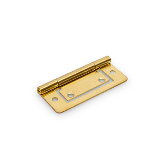 Dulimex Louver door hinge 75x35 mm brass plated