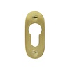 Dauby 1 Cylinder plate PZ-PBTC1 brushed brass