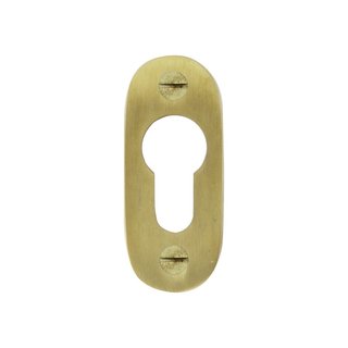 Dauby 1 Cylinder plate PZ-PBTC1 brushed brass