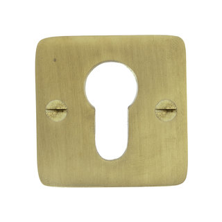 Dauby 1 Plaque cylindre PZ-50 Q laiton brossé 50mm