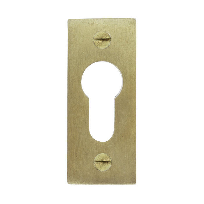 Dauby 1 Cylinder plate PZ-PBTC Q brushed brass