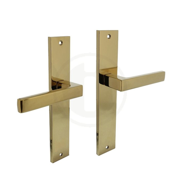 Intersteel Door handles Intersteel Hera on long shield 245 x 45 mm brass Titanium