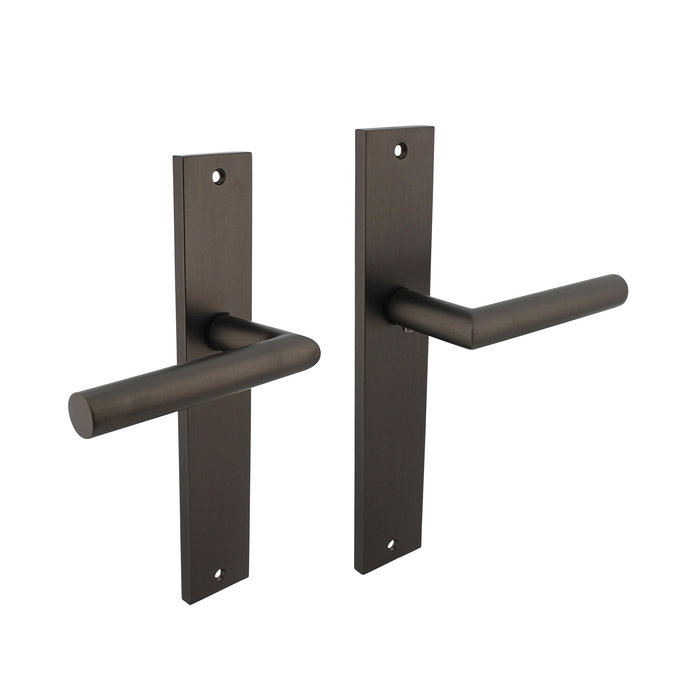 Intersteel Intersteel Poignée de porte Bastian sur bouclier 245x45 mm gris anthracite