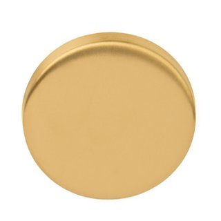 Formani 1 plaque de clé Basics LBB50 aveugle 6 mm PVD or mat