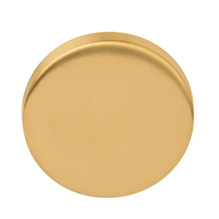 Formani 1 plaque Blind Basics LBB50, 6 mm d'épaisseur - Or mat PVD