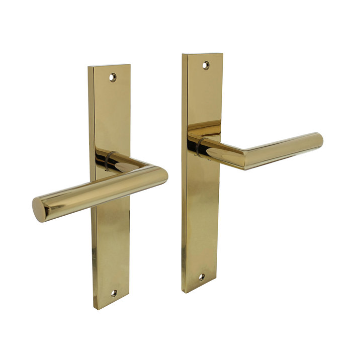 Intersteel Intersteel Door handle Bastian on shield 245x45 mm brass Titanium PVD