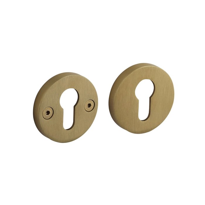 Intersteel Plaques cylindriques profilées Grand & Johnson dissimulées d'un côté Ø 55x8mm Acier inoxydable Laiton PVD