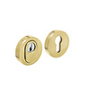 Intersteel Intersteel Safety rosette SKG3 core pulling protection brass lacquered