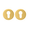 Paar cilinderplaatjes Supra goud