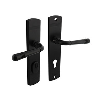 Intersteel Back door fitting Helena on shield matt black