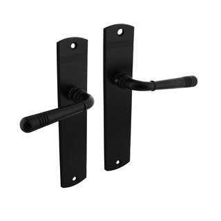 Intersteel Door handle Helena on shield matt black