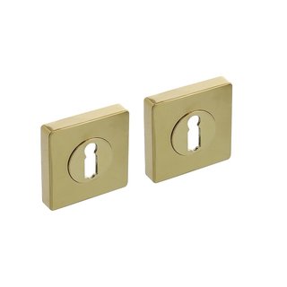 Intersteel Rosaces interacier avec trou de serrure carré 55x55x10 mm laiton titane PVD