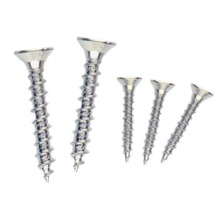 AGB Screw set for lock AGB stainless steel look