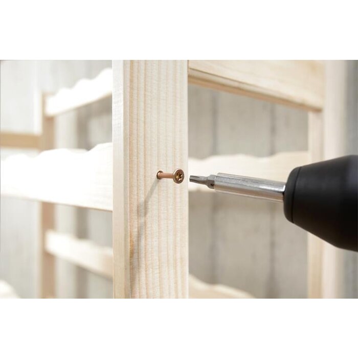 DKS 1 Torx bit 25mm - T20