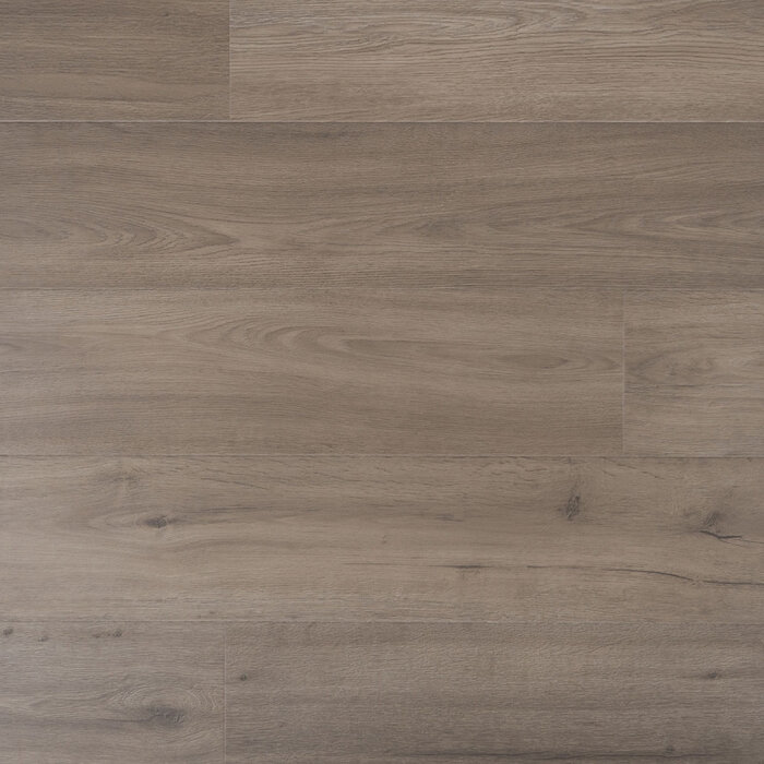 Douwes Dekker Proud Solid and waterproof Laminate from Douwes Dekker - Plank Marjolein 04684