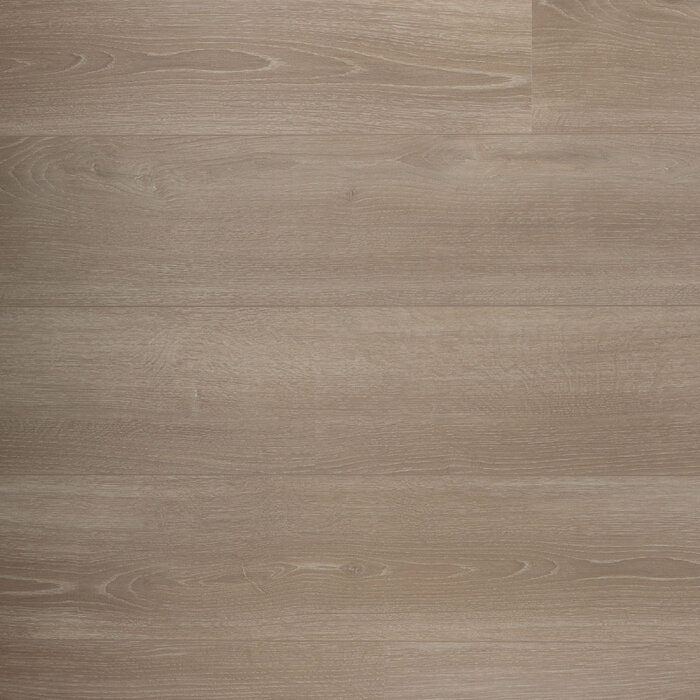 Douwes Dekker Powerful Solid Laminate from Douwes Dekker - Wide plank 05040 - rosemary