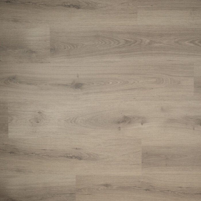 Douwes Dekker Powerful Solid Laminate from Douwes Dekker - Plank Thyme 04954