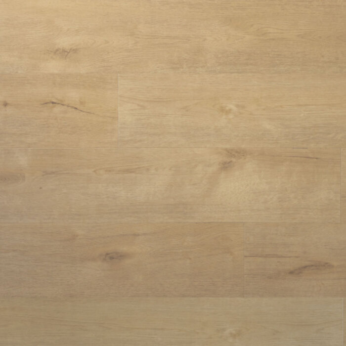 Douwes Dekker PVC Laminate from Douwes Dekker - Plank Sprits 04878