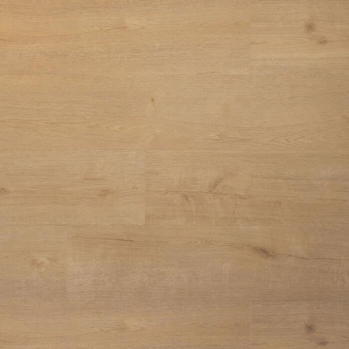 Douwes Dekker Stratifié PVC de Douwes Dekker - Plank Biscuit 04879