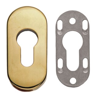 HDD 1 Sicherheitszylinderplatte oval 6mm - Titan
