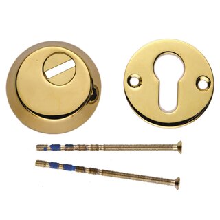 HDD Veiligheids cilinderplaatjes SAFE 12 mm - Titanium