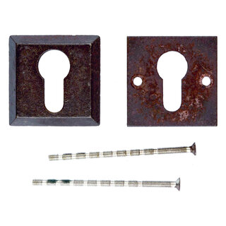 HDD Security cylinder plates 8 mm - rust - square PZ