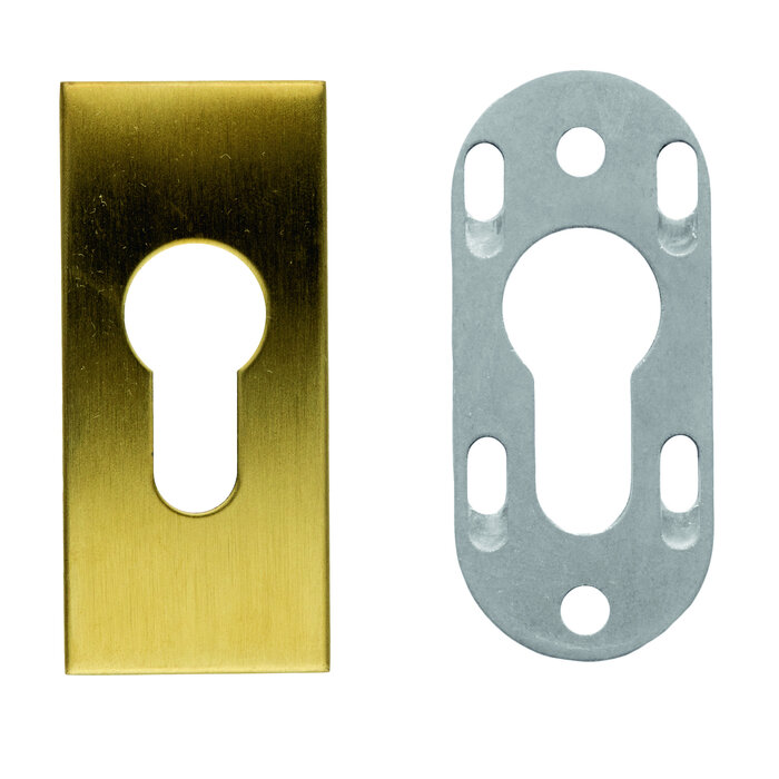 HDD Matte gold security cylinder plate 9 mm