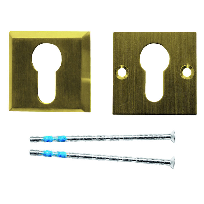 HDD Security cylinder plates 8 mm - matt gold - square PZ