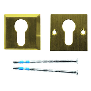HDD Veiligheidscilinderplaatjes 10 mm - mat goud - vierkant PZ