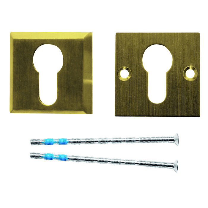 HDD Security cylinder plates 10 mm - matt gold - square PZ