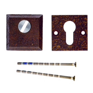 HDD Plaques de cylindre de sécurité SAFE 10 mm - rouille - Carrée PZ