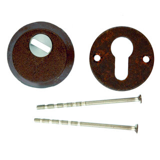 HDD Sicherheitszylinderplatten SAFE 10 mm - Rost