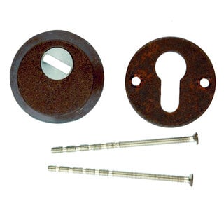 HDD Sicherheitszylinderplatten SAFE 12 mm - Rost