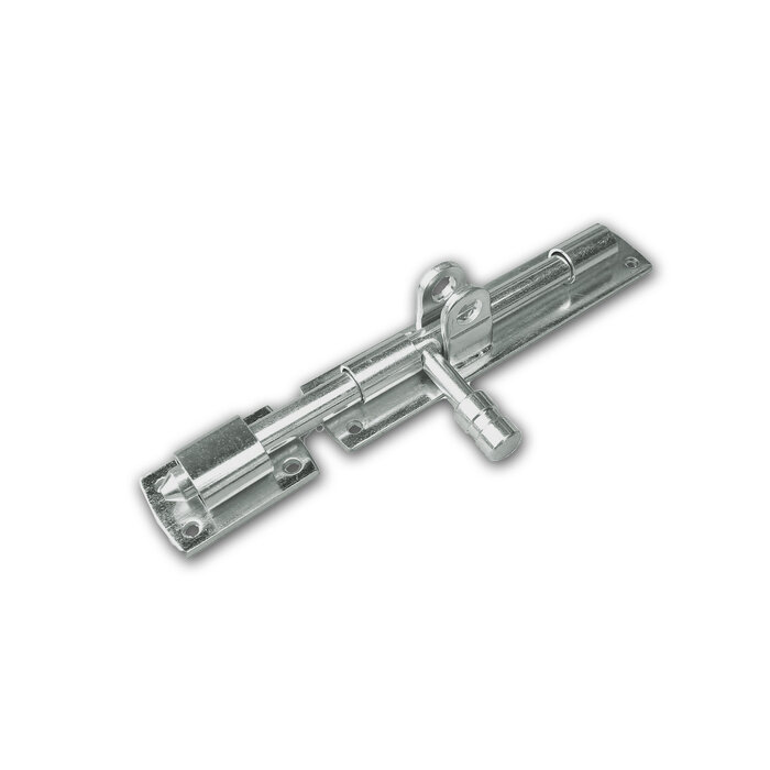 Dulimex Dulimex hangslotgrendel horizontaal 100 mm Ø 10 mm RVS