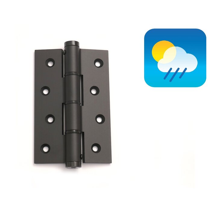 Dulimex Charnière à ressort de porte 120/30 simple effet - Noir - 2 pièces