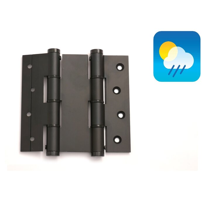 Dulimex Charnières à ressort de porte 120/40 double effet - Noir - 2 pièces