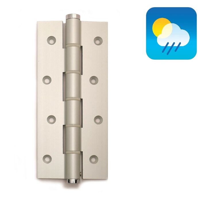 Dulimex Charnières à ressort de porte 180/30 simple effet - Gris argent - 2 pièces